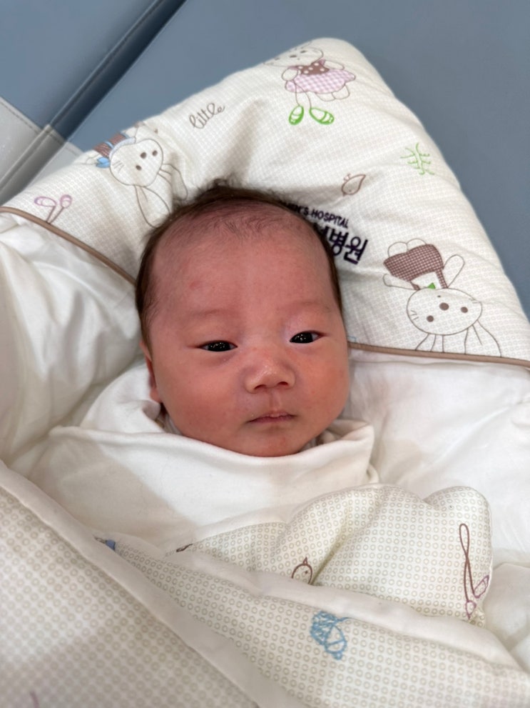  대전 서울여성병원 제1산후조리원 이용후기(객실 부대시설 식사 모자동실 등)