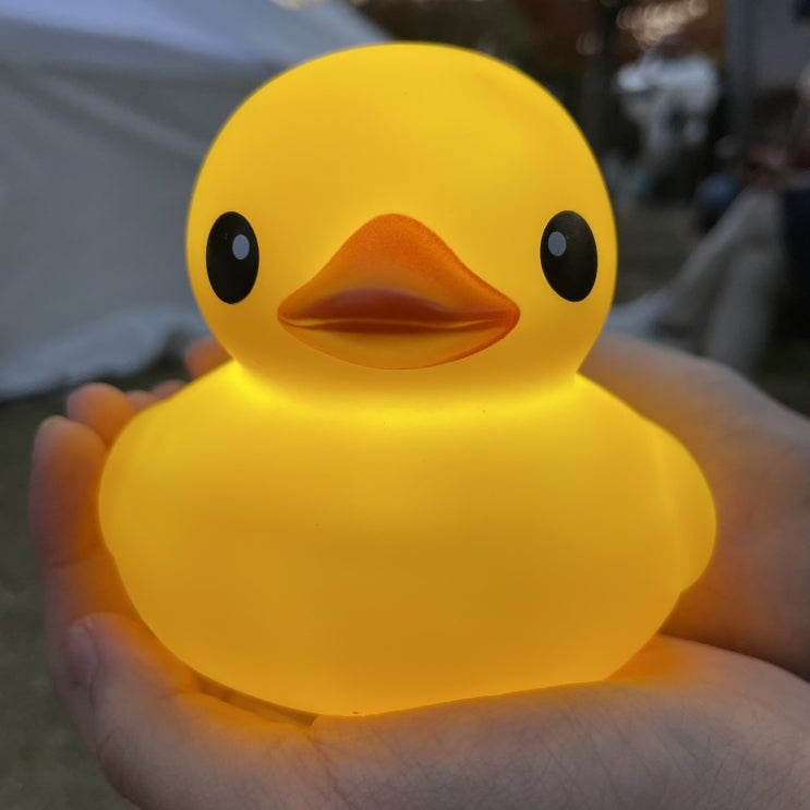  [잠실] 러버덕 프로젝트 서울 2022(Rubber Duck Project Seoul 2022) 방문기