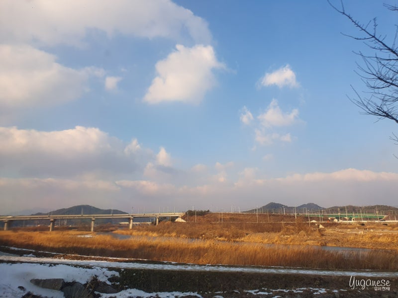 사진 6