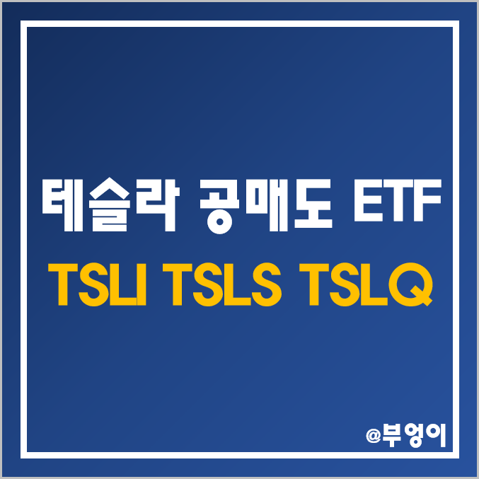 테슬라 개별 종목 공매도 미국 ETF - TSLI, TSLS, TSLQ 주가 및 수익률 (TSLA 주식 하락에 투자하는 인버스 관련주) 테슬라 개별 종목 공매도 미국 ETF - TSLI, TSLS, TSLQ 주가 및 수익률 (TSLA 주식 하락에 투자하는 인버스 관련주)