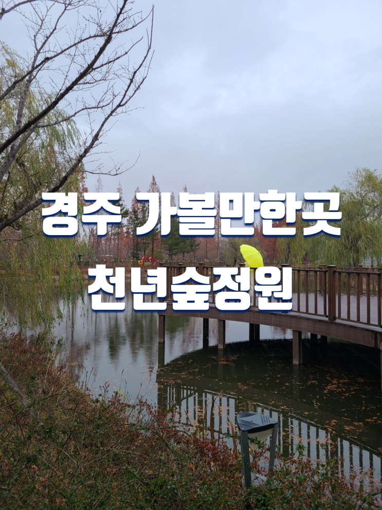  경주 여행 가볼만한곳 천년숲정원 산책 코스 (외나무다리 포토존)