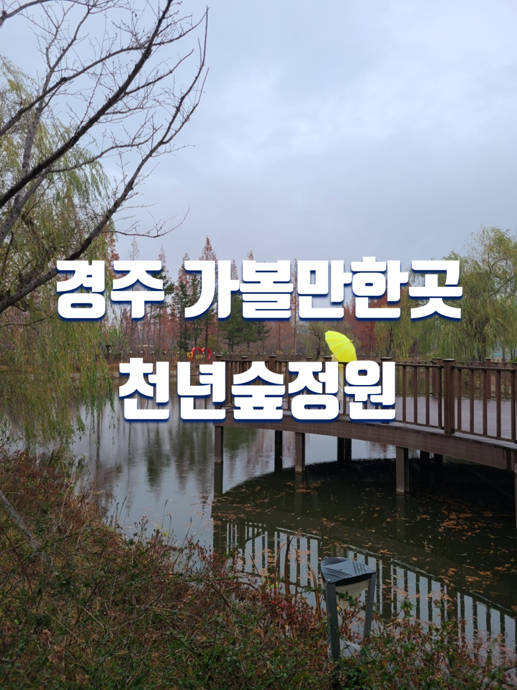 경주 여행 가볼만한곳 천년숲정원 산책 코스 (외나무다리 포토존)