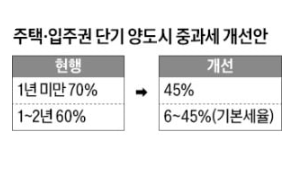 1년 이상 보유 주택 양도세 중과 폐지, 기본세율(6~45%) 개편