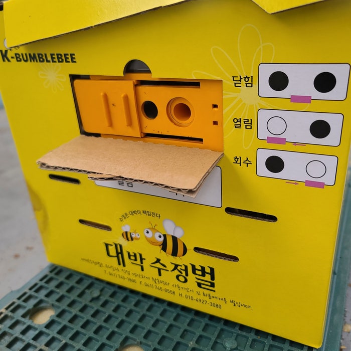  수정벌 딸기 하우스에 뒤영벌과 꿀벌 사용