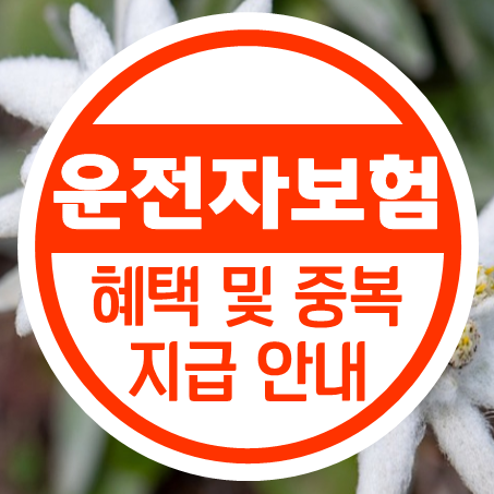  운전자상해보험 혜택 및 중복 지급에 관한 안내