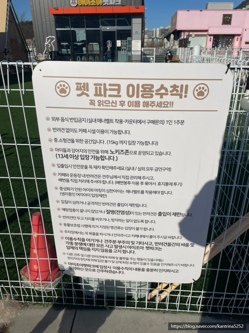사진 8