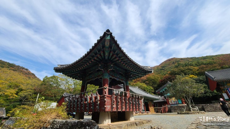  [진도/해남 가족여행#13] 진도 가볼만한곳 진도 쌍계사 & 첨찰산 상록수림