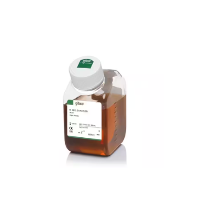 [제품] (Gibco) [10100147] Fetal Bovine Serum, qualified, heat inactivated, Australia, 소태아혈청