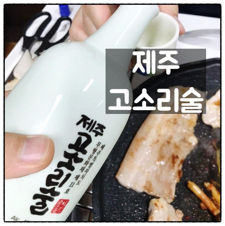  김희숙명인 제주술익는집 전통주 제주고소리술 맛과 향 후기