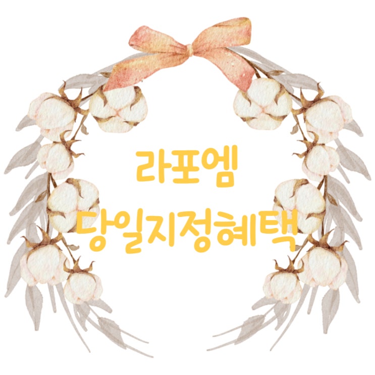  라포엠 드레스투어 당일지정 혜택