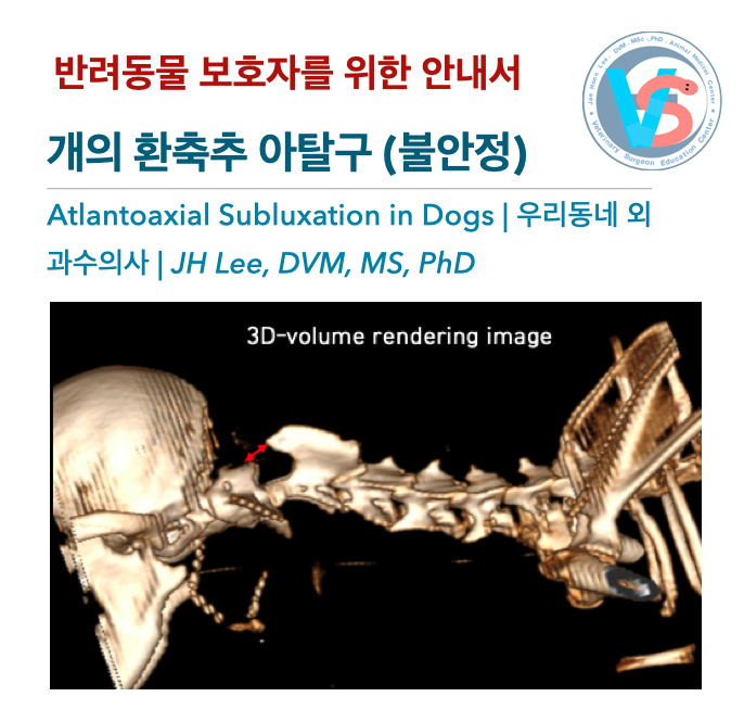  [동물병원안내서] 개의 환축추 아탈구 (불안정, Atlantoaxial Subluxation in Dogs) - 반려동물 보호자를 위한 안내서, 우리동네 외과수의사
