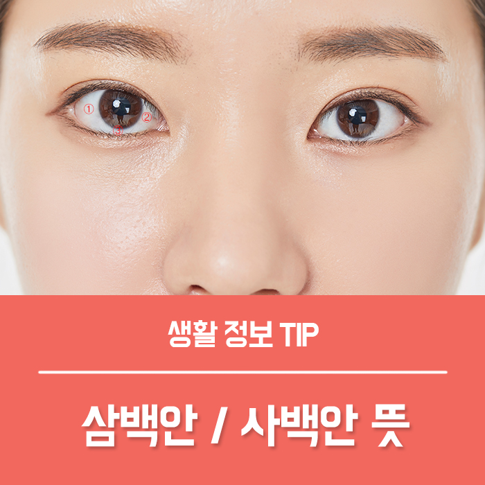  삼백안 뜻 사백안 관상 총정리!