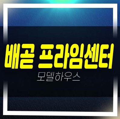  배곧 프라임센터1차,2차 배곧동 기숙사,지산,상가 분양가격 및 모델하우스 잔여호실 실입주업종 투자문의