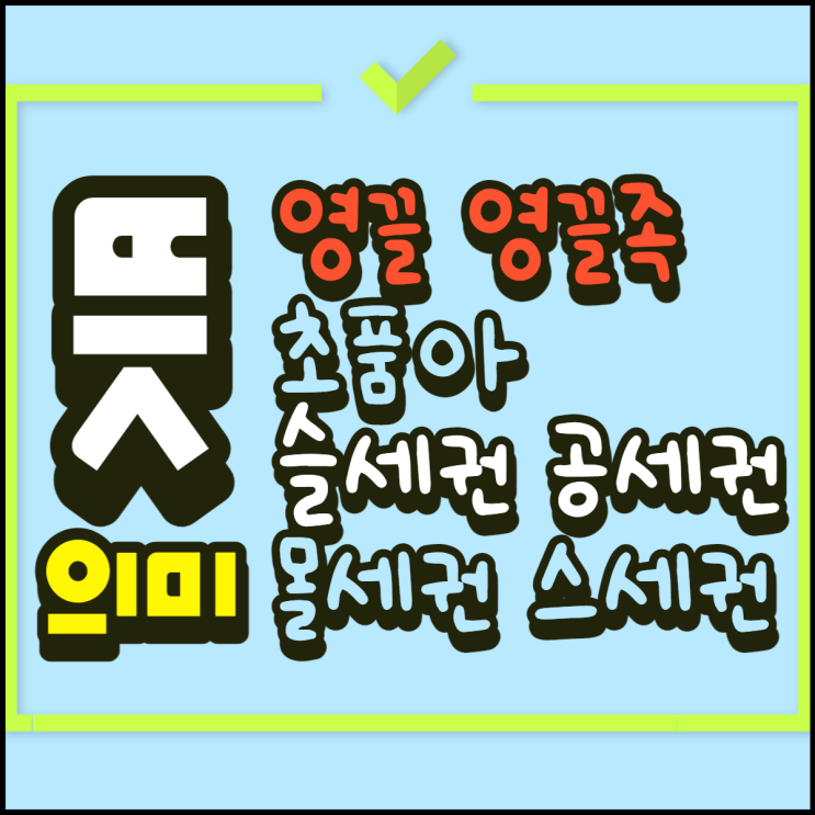  영끌족 뜻 영끌뜻 초품아 뜻 슬세권 스세권 신조어 알아봐요