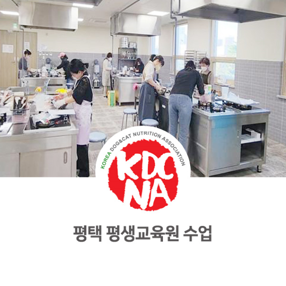 평택 평생교육원 센터 펫푸드 전문가 수업 후기 [최수연펫푸드아카데미/한국반려동물영양협회/펫푸드자격증/애견수제간식창업/수원/군포/의정부_1058]