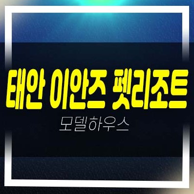  태안 이안즈 펫리조트 천리포해수욕장 고급호텔 레지던스 생숙 세컨하우스 펜트하우스 별장 수익형 부동산 분양상품