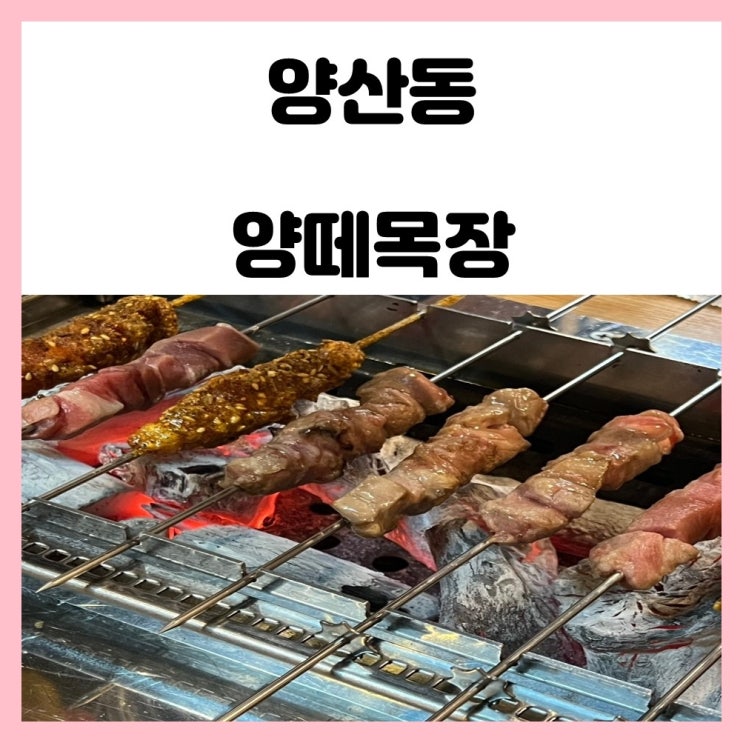 광주 양꼬치 맛집 양산동 양떼목장