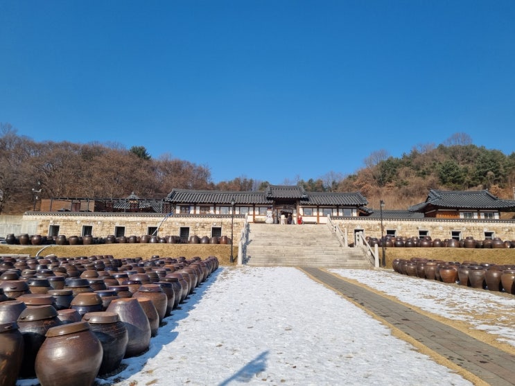  [연천 세라비 한옥카페]메뉴/영업시간/베이커리/내돈내산