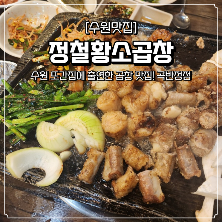  또간집 수원 곡반정동 정철황소곱창