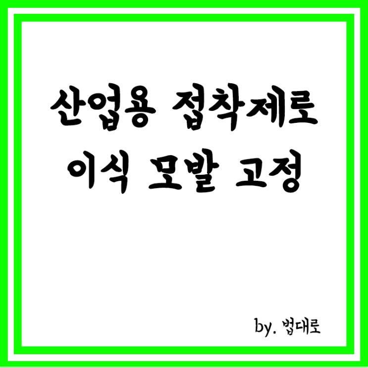  산업용 접착제로 이식 모발 고정한 의사… 대법 "비도덕적 진료 아냐"