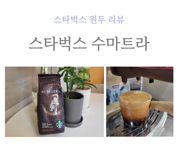  스타벅스 원두 수마트라 내돈내산 리뷰
