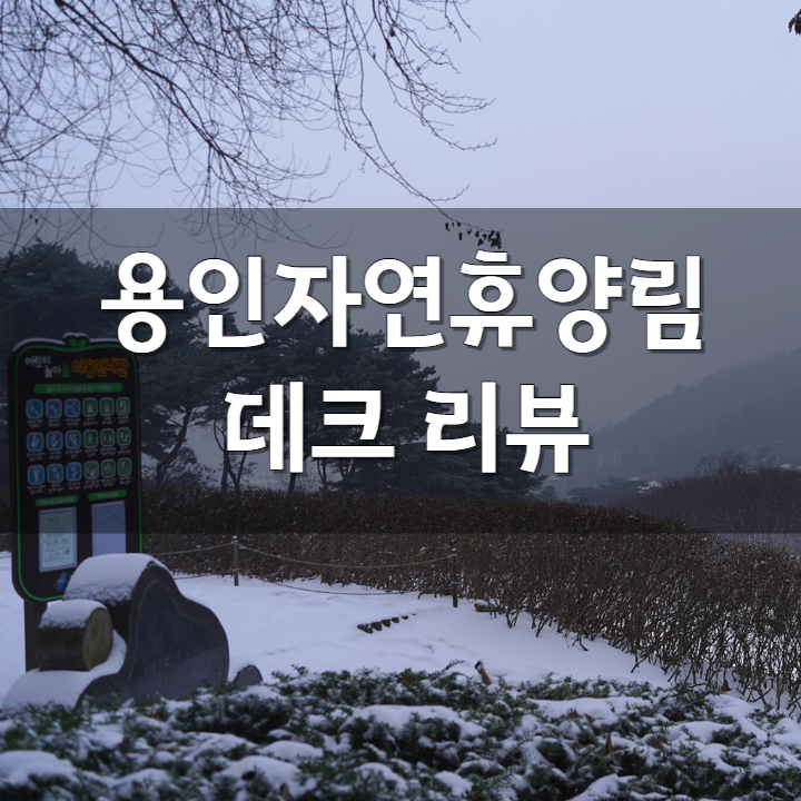 서울근교 용인캠핑장 추천! 용인자연휴양림 캠핑 데크 예약 방법과 야영장 명당 소개