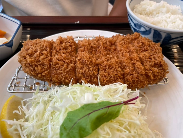  일본 도쿄 / 마이센 아오야마 본점 - 겉바속촉의 정석 흑돼지 돈까스 맛집