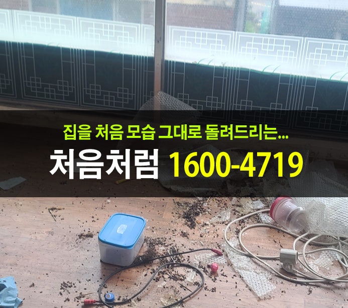  성북구 고독사 청소를 위한 특수청소 과정과 방법