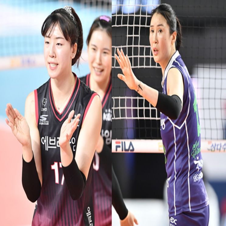 인삼공사 도로공사, V리그 여자배구 1월 3일 경기예상(인삼도공, 도공인삼, 엘리자벳 이소영 정호영 배유나 카타리나 박정아)