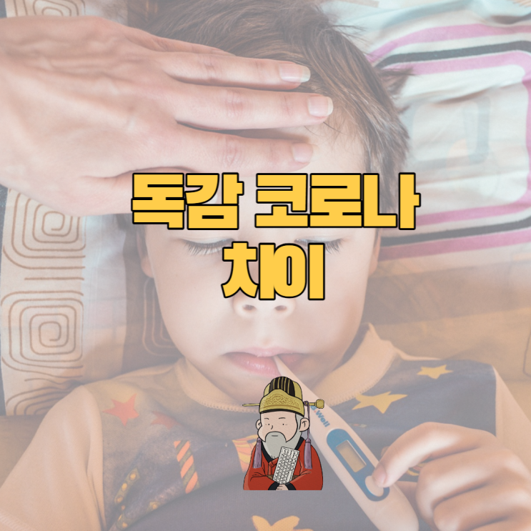  독감 코로나 증상 차이 구분하는 법