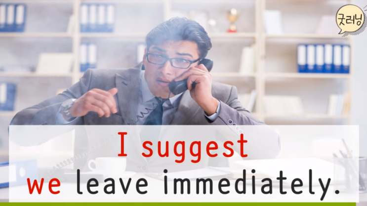  I suggest we leave immediately. 즉시 떠나는 게 좋겠습니다.