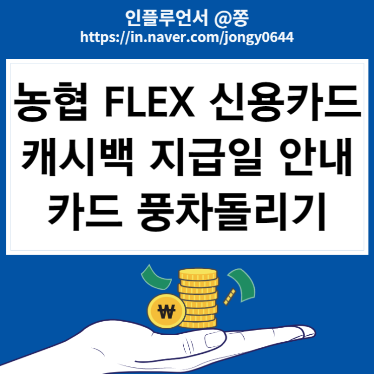 카드테크 농협 flex카드 신용카드 풍차돌리기 캐시백 혜택 지급 안내 카드테크 농협 flex카드 신용카드 풍차돌리기 캐시백 혜택 지급 안내
