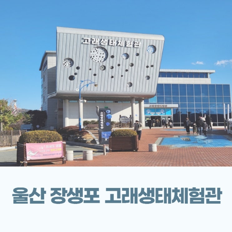  울산 장생포 고래생태체험관 아이랑 돌고래 볼만한 곳 아쿠아리움 대신 여기로 (feat.울산함)