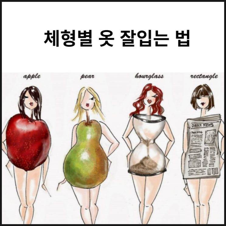  옷 잘입는 법 체형별 구분으로 패션테러리스트 탈출