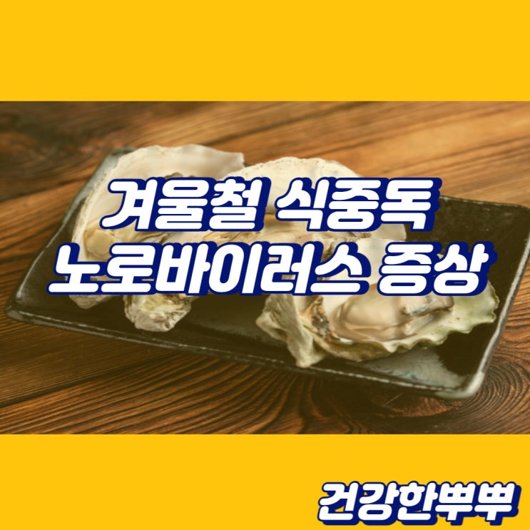  노로바이러스 증상 굴노로바이러스 노로바이러스 감염 원인