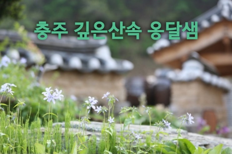  충주 깊은산속 옹달샘 힐링 체험여행지