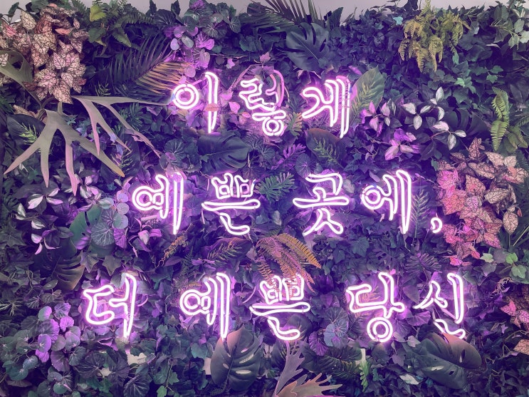  프리랜서 커플 제주 한달살기 9일차 - 함덕해수욕장 돈까스송쉡 스타벅스 인생네컷 델문도 원래 계획은 창꼼바위 창 고망난 돌