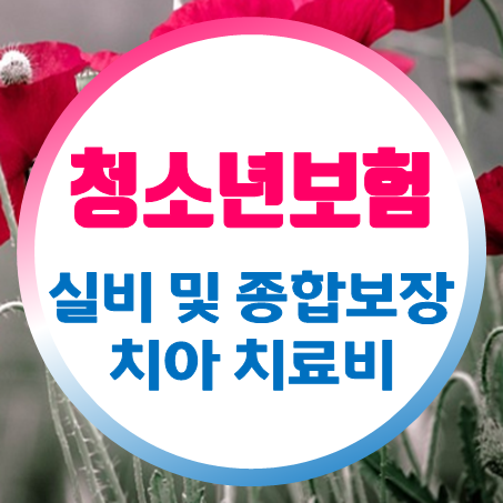  청소년보험 추천 실비 및 비갱신 보장과 치아보험까지!
