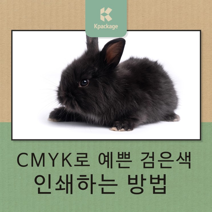 CMYK로 2023년 검은 토끼 완벽하게 인쇄하기 (검은색 인쇄팁)