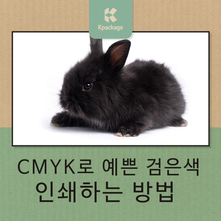  CMYK로 2023년 검은 토끼 완벽하게 인쇄하기 (검은색 인쇄팁)