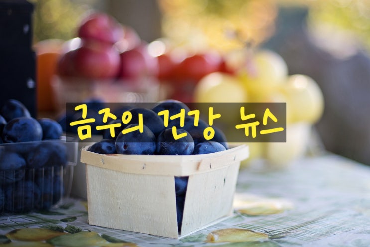  건강 뉴스 살펴보기 - 스트레스에 도움이 되는 식품 외 _230102