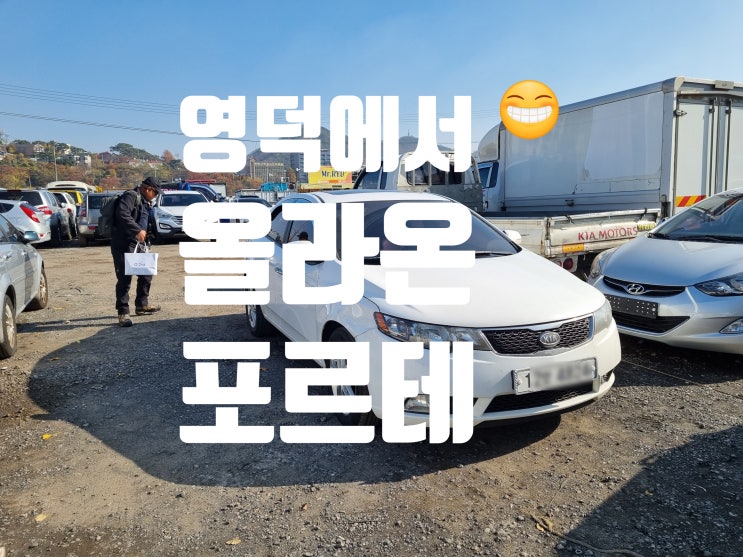  포르테 중고차 수출 폐차 경북 영덕 편