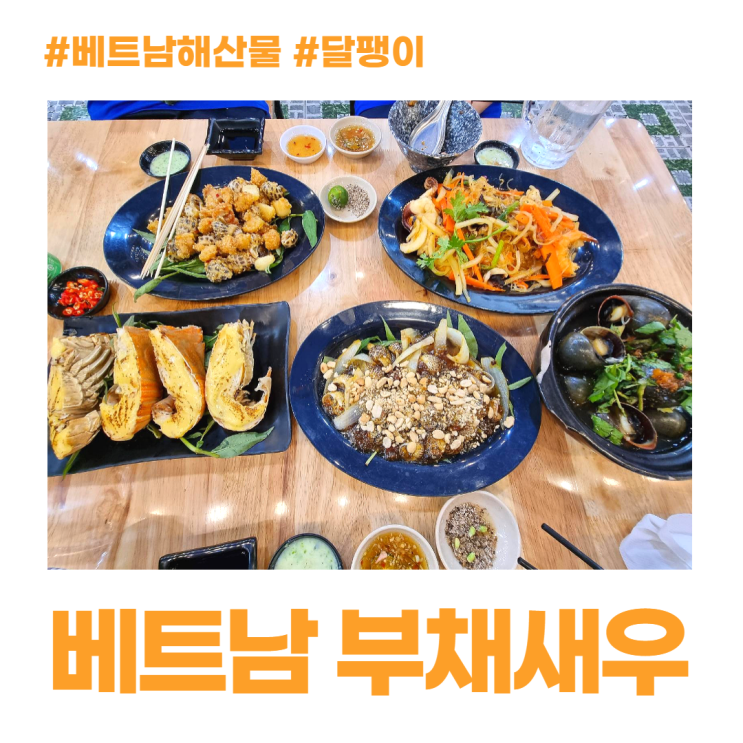 랍스터 닮은 베트남 부채새우 전복 달팽이 해산물 로컬 식당 랍스터 닮은 베트남 부채새우 전복 달팽이 해산물 로컬 식당