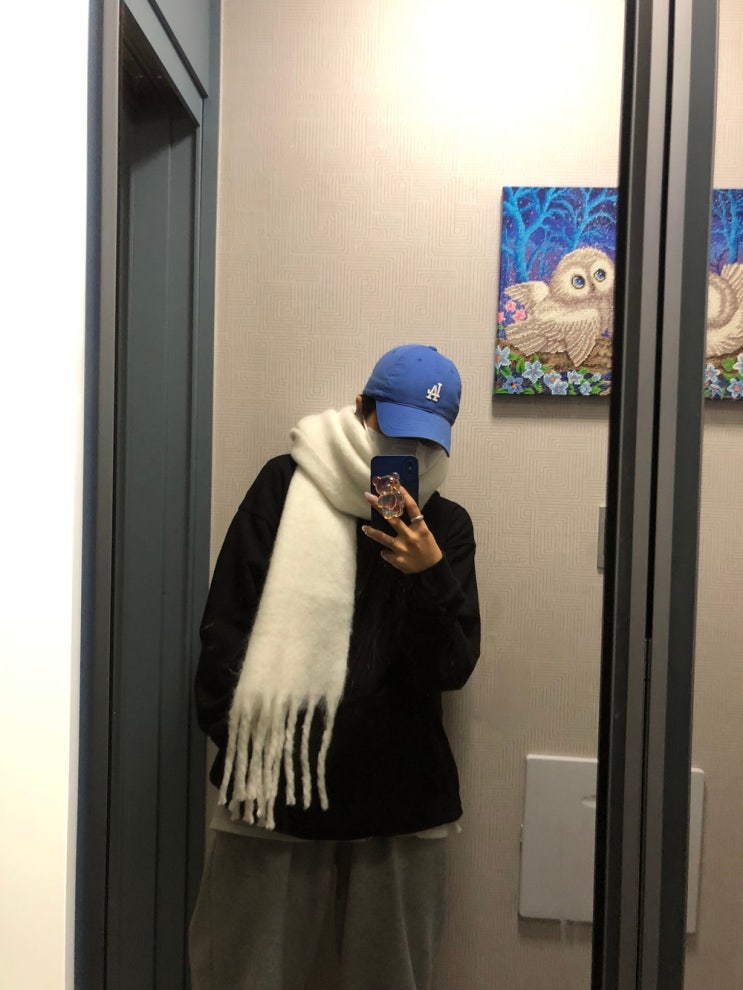  다들 알고 있었나요 유행한다는 힙한 목도리? 난 몰랐어요... (타오바오 직구 링크있어용) +알리 링크도 추가