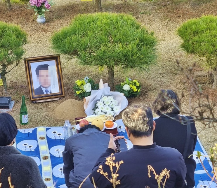  소천 후 수목장 안치 순서 알아보기