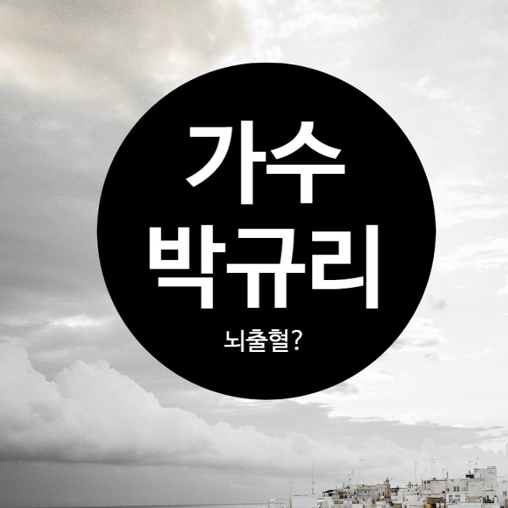 박규리 뇌출혈? 나무위키 트로트 가수 프로필 앨범 건강
