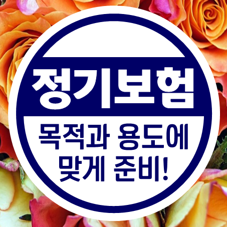  사망정기보험 비교 목적과 용도에 맞게 준비하세요.