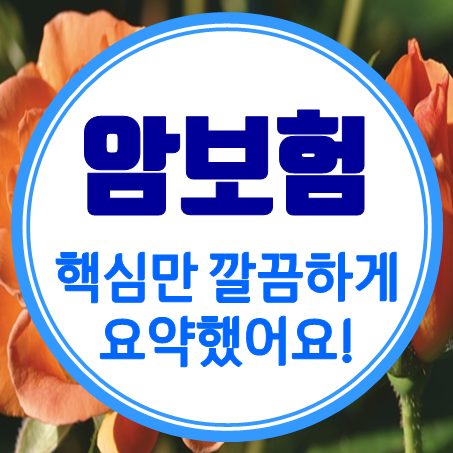  어린이 암보험 추천 깔끔하게 요약해 두었어요.