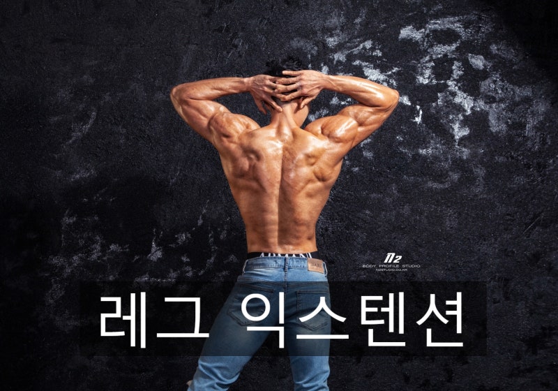 레그 익스텐션 잘 하는 방법 : 네이버 블로그 레그 익스텐션 잘 하는 방법 : 네이버 블로그