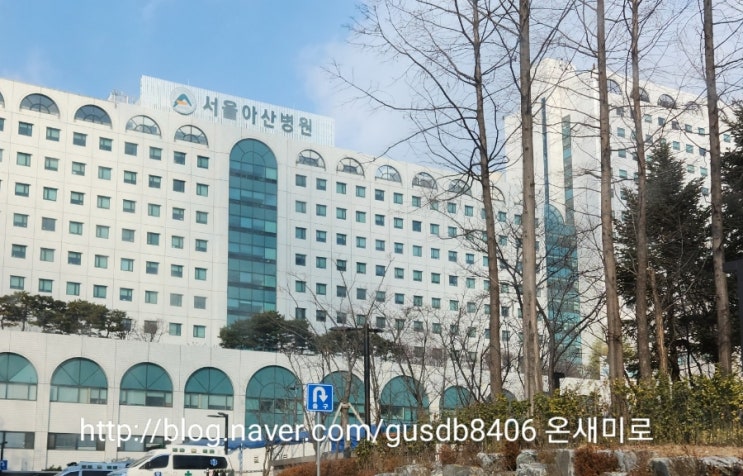 서울아산병원 자궁적출 4박 5일 수술,입원 후기 ! 서울아산병원 자궁적출 4박 5일 수술,입원 후기 !